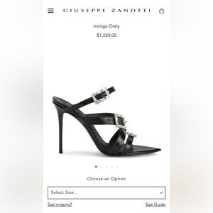Giuseppe Zanotti heels